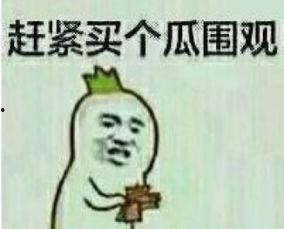 吃瓜群众表情包什么意思啊,网络热词背后的文化现象