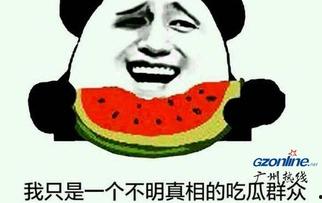 吃瓜群众啥意思啊