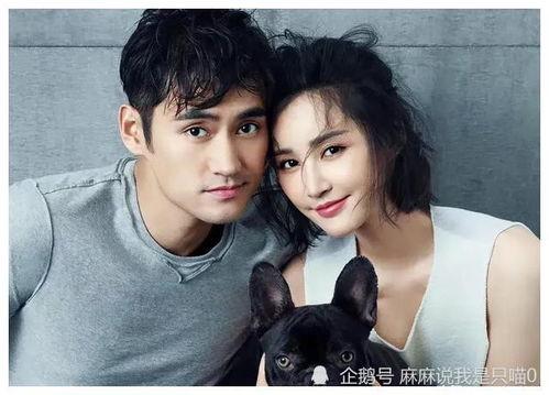 娱乐圈吃瓜爆料贾玲